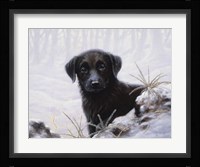 In the Snow Fine Art Print