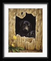 Peek-A-Boo Fine Art Print