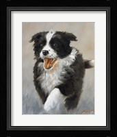 Strutting Fine Art Print