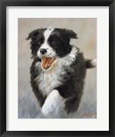 Strutting Fine Art Print