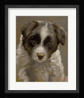 Puppy 2 Fine Art Print
