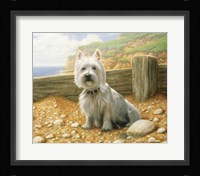 Westie 1 Fine Art Print