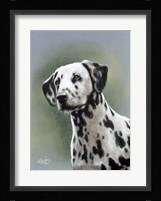 Dalmatian 1 Fine Art Print