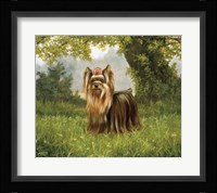 Pink Bow Fine Art Print