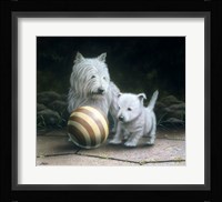 Westies Fine Art Print