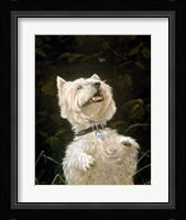 Westie 3 Fine Art Print