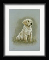 Seated Fine Art Print