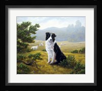 In the Glen Fine Art Print