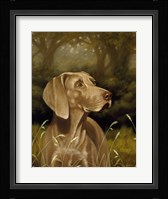 Searching Framed Print
