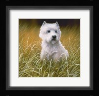 Westie 4 Fine Art Print