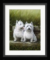 Pair of Westies Fine Art Print