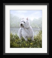 Westie 5 Fine Art Print