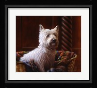 Westie 7 Fine Art Print
