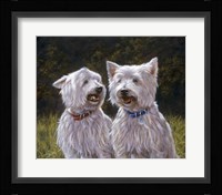 Westie 8 Fine Art Print