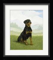 Obedient Framed Print