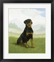 Obedient Framed Print