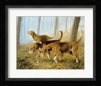 On the Hunt Fine Art Print