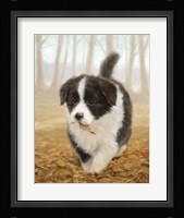 Litterbug Fine Art Print