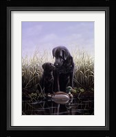 Tender Fine Art Print