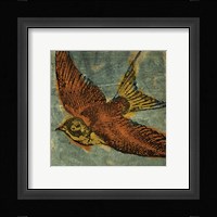 Bird Collage No 1 Framed Print