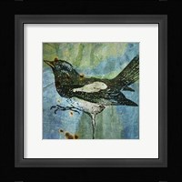 Magpie Framed Print