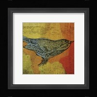Warbler 1 Fine Art Print