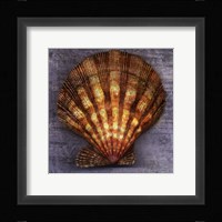 Blush Rose Fine Art Print