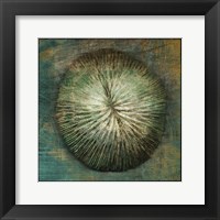 Coral Framed Print