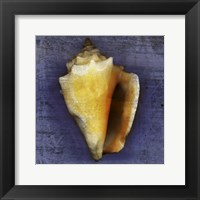 Fighting Conch Framed Print