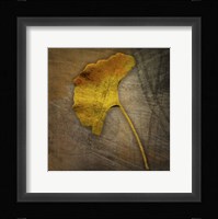 Gingko 1 Framed Print