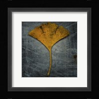 Gingko 2 Framed Print