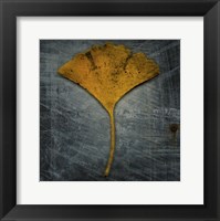 Gingko 2 Framed Print