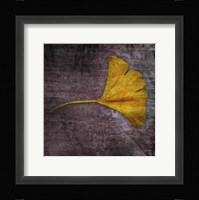 Gingko 4 Framed Print