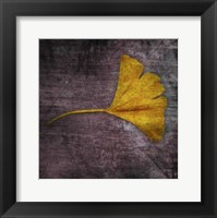 Gingko 4 Framed Print