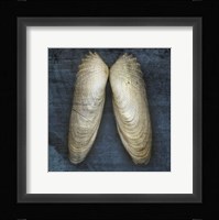 Angel Wings Framed Print