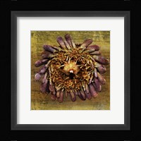 Sea Urchin 2 Fine Art Print