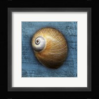 Shark Eye 2 Fine Art Print