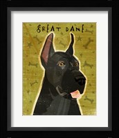 Great Dane 3 Framed Print