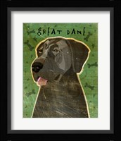 Great Dane 5 Fine Art Print
