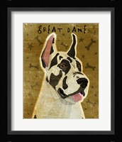 Harlequin Great Dane 1 Fine Art Print