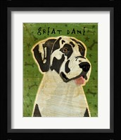 Harlequin Great Dane 2 Fine Art Print