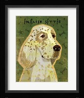 English Setter Fine Art Print