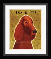 Irish Setter Framed Print