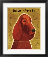 Irish Setter Framed Print