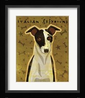 Italian Greyhound - Black and White Fine Art Print