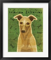 Italian Greyhound - Fawn Framed Print