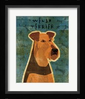 Welsh Terrier Fine Art Print