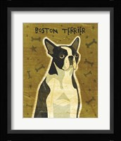 Boston Terrier Fine Art Print