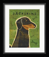 Dachshund (black and tan) Framed Print
