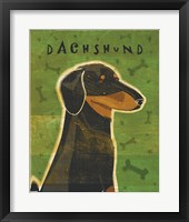 Dachshund (black and tan) Framed Print